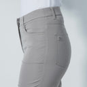 DS Trieste Taupe Pants 32"